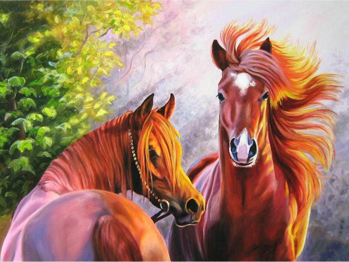 Toi-Toys Diamond Painting - Paard (50x40cm)