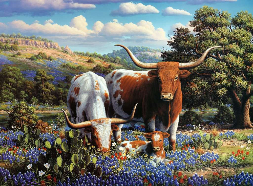 Ravensburger - Loving Longhorns - (500)