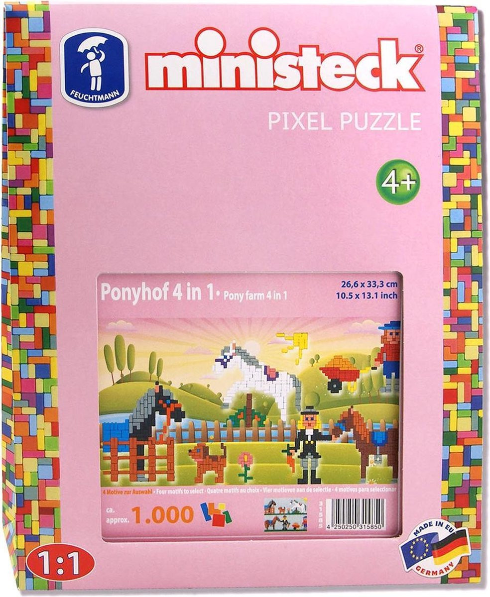 Ministeck - Manege 4-in-1 XL box (ca. 1000-delig)