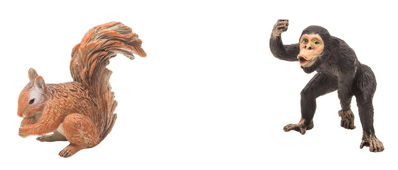 Wilde dieren - set van 2 - aap en eekhoorn