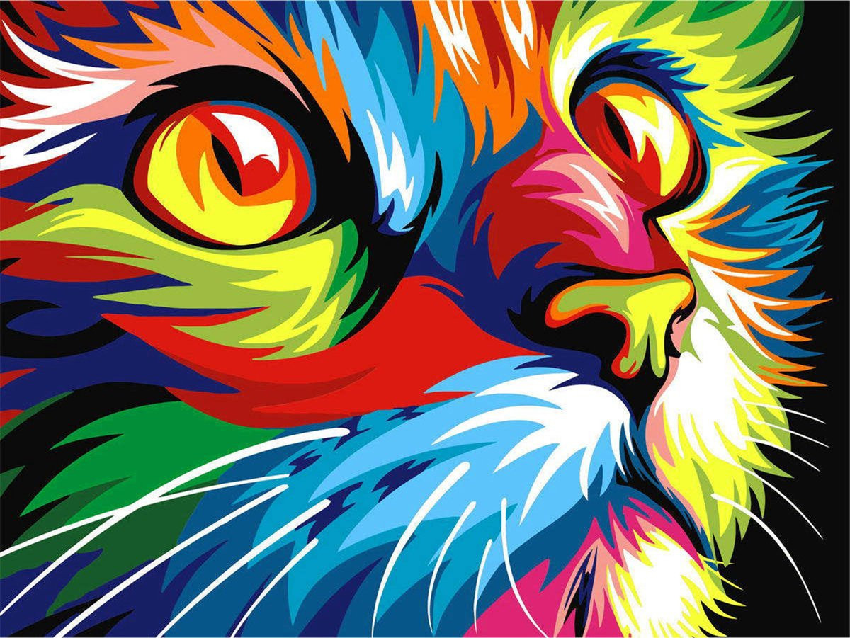 Toi-Toys Diamond Painting - Poes (50x40cm)