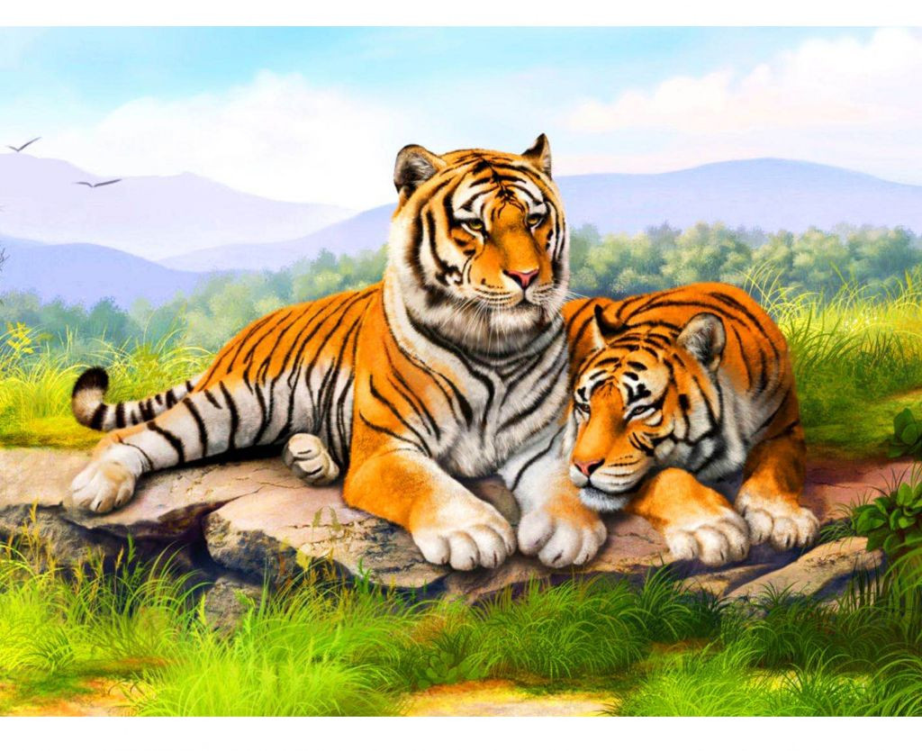 Diamond Painting - Tijger (50x40cm)