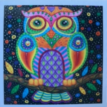 Diamond Painting - (30x30cm) - kleurrijke uil