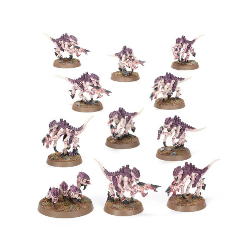 Warhammer 40K - Introductory Set (40-04) - Tyranids