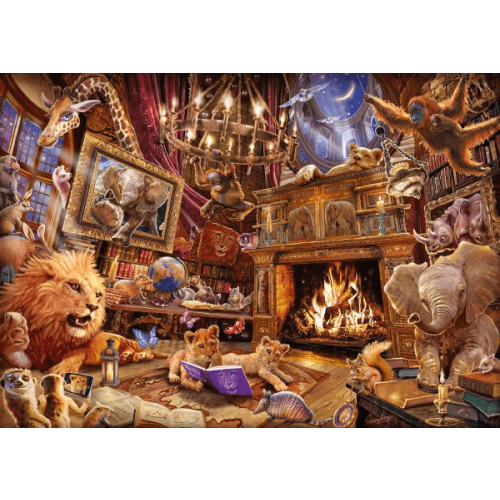 Schmidt -VStory Mania (1000) - Puzzel