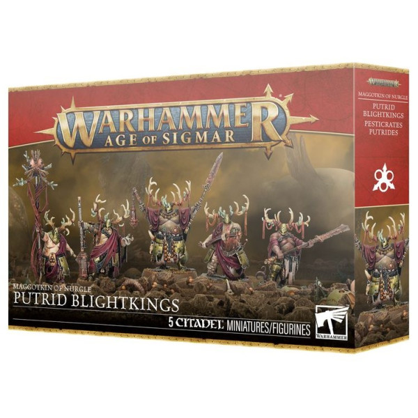 Warhammer Age of Sigmar - Maggotkin of Nurgle - Putrid Blightkings (83-28)