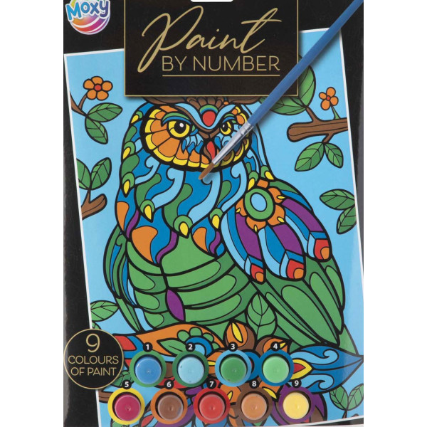 paint by number - complete schilderset - Uil